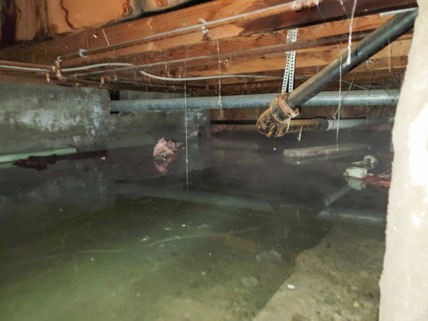Best Sewage cleanup and water damage restoration  in Prineville, OR