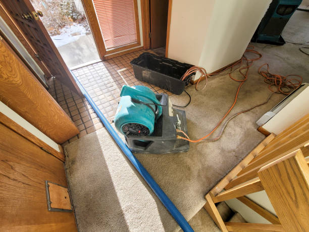 Best Water damage cleanup near me  in Prineville, OR