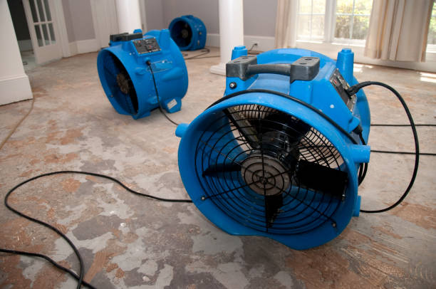 Carpet water damage restoration in Prineville, OR