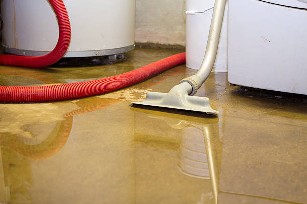 Best Flood damage cleanup  in Prineville, OR
